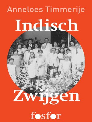 cover image of Indisch zwijgen